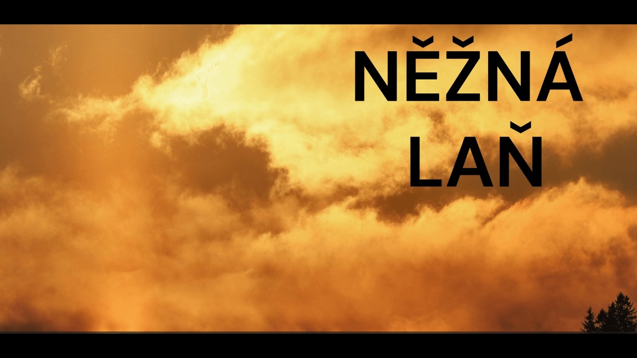 HUDEBNÍ BÁSEŇ: NĚŽNÁ LAŇ