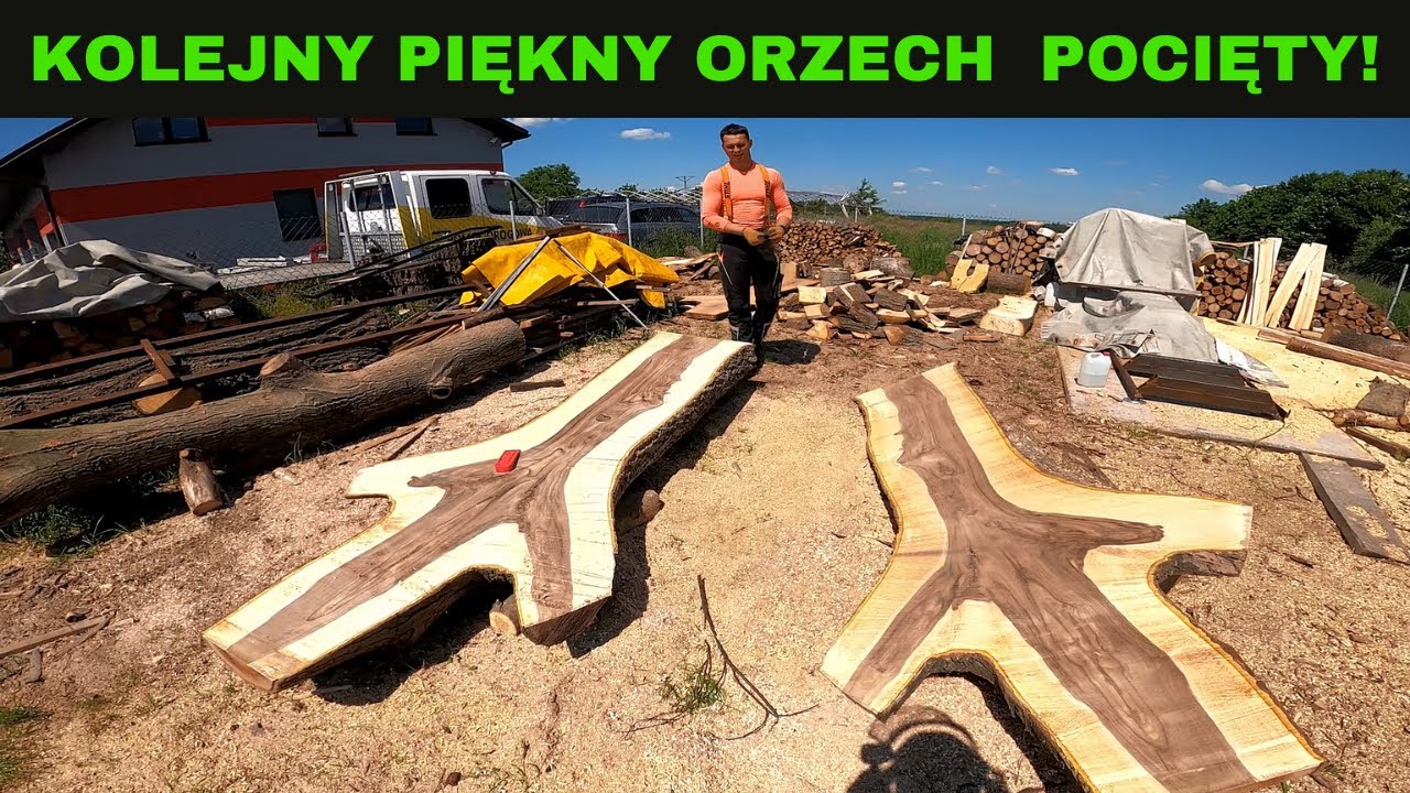 PIĘKNY ORZECH WŁOSKI POCIĘTY!