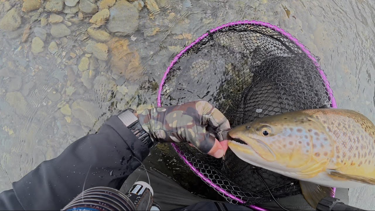New Zealand trip to Maruia Motel - January 2025 - Part 9 unguided (8th full day of fishing - 2 fish)
