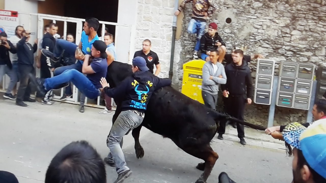 Concours Attrapaire-Villetelle-abrivado-bandido-02/06/2016