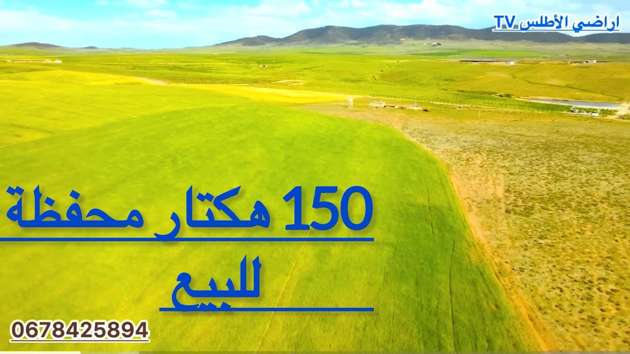 ارض محفظة مساحتها 150 هكتار  للبيع خنيفرة طريق اجلموس تمن البيع 6 مليون للهكتار