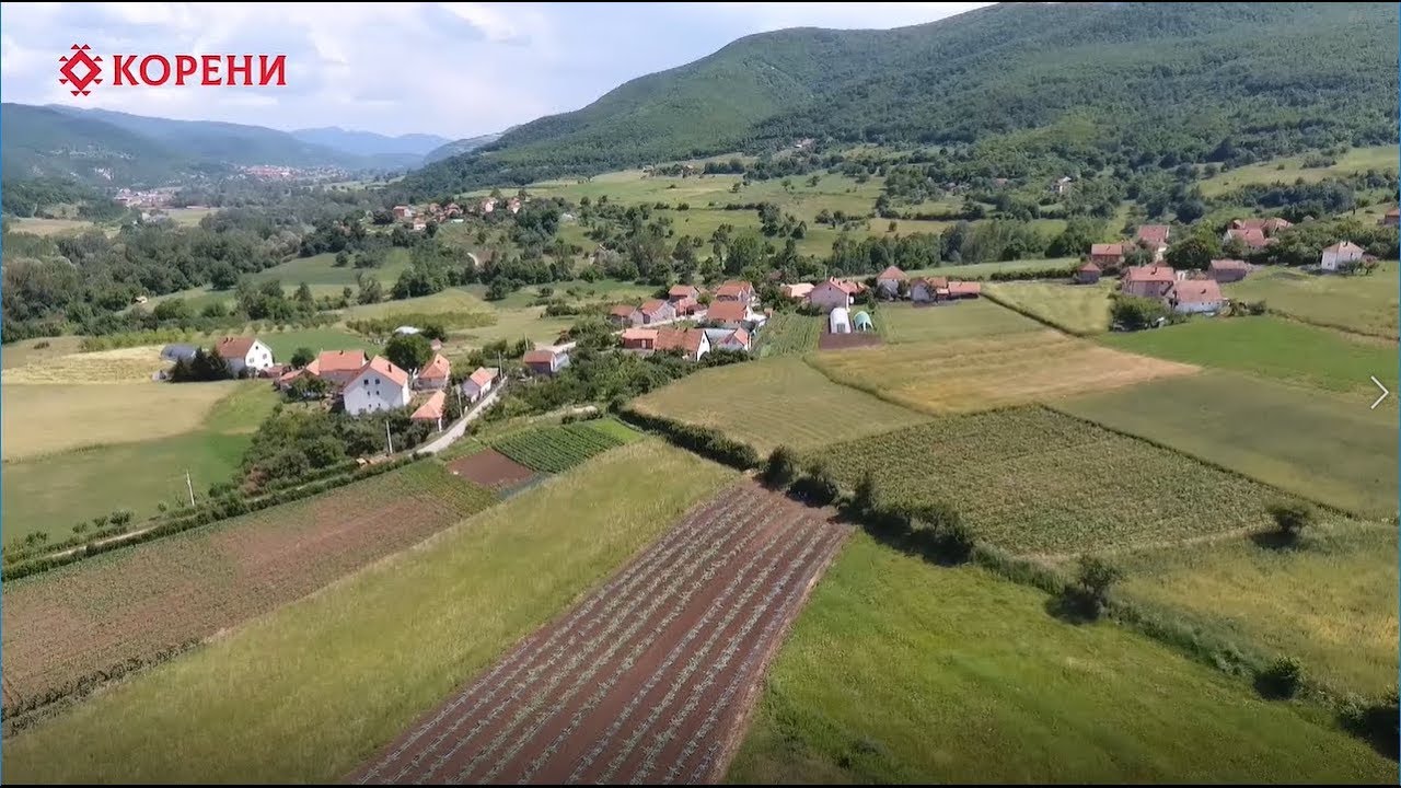 Афирмација - Живот поред Ибра - ТВ Корени