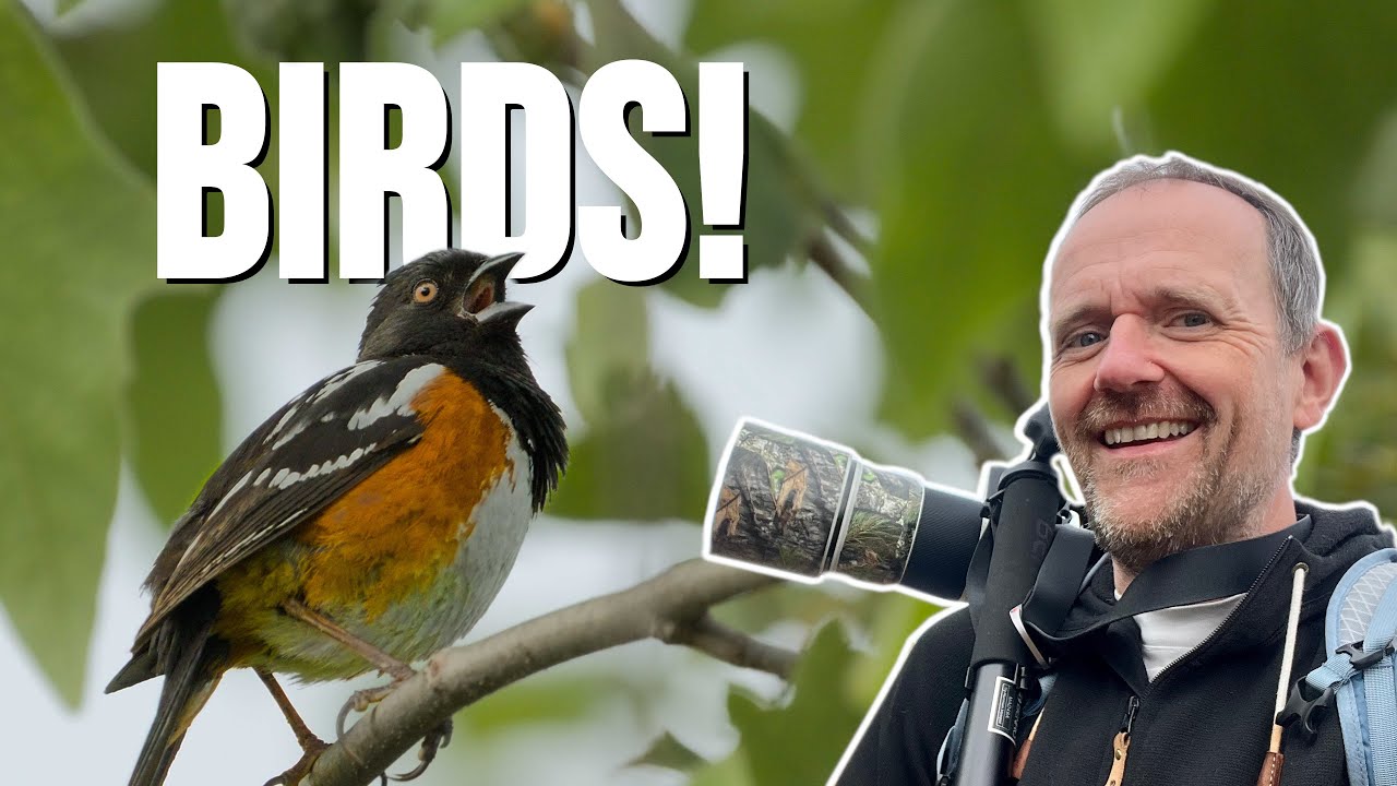 Bird Photography at San Joaquin Marsh Wildlife Sanctuary