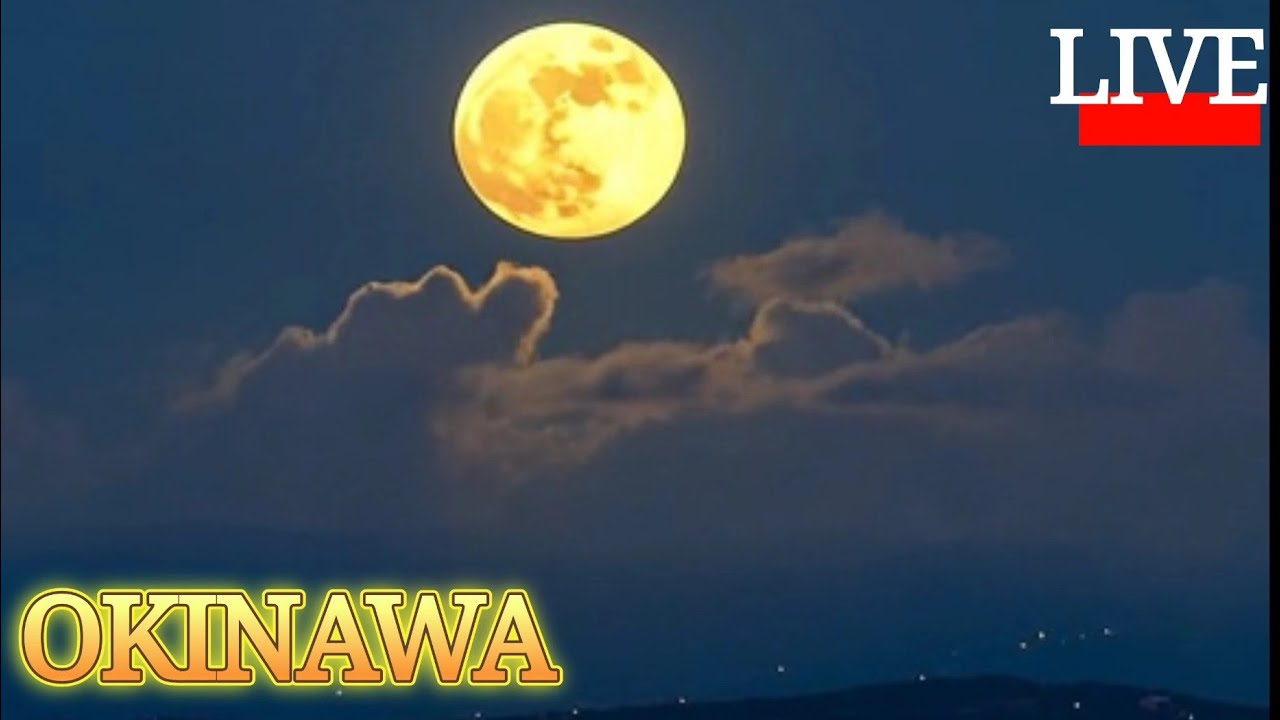 お月様ライブ配信【新しい声南の島アシスタント登場】#ライブ配信#沖縄ライブ配信#南の島