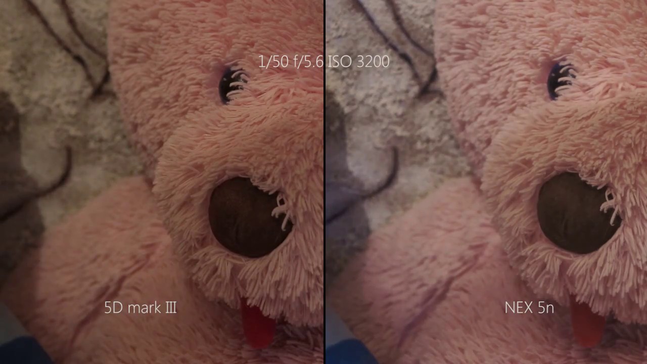 Canon EOS 5D mark III vs SONY NEX-5n