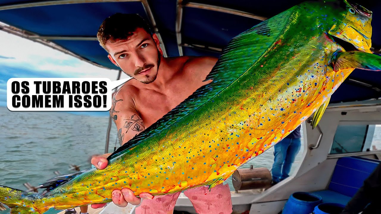 NADEI COM UM TUBARAO APOS TIRAR ISSO DA AGUA *Nunca Repita