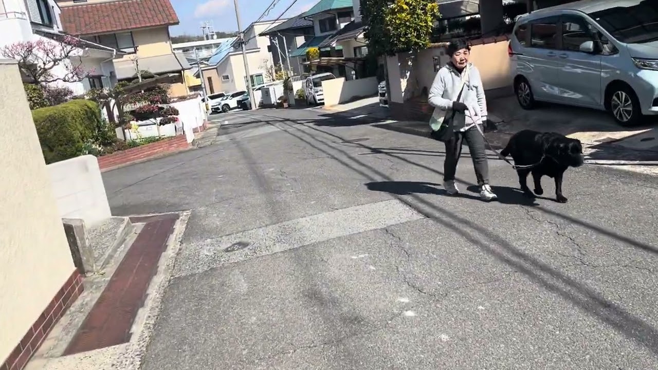 Morning Walk EveryDay 