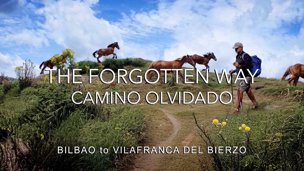 Walking the Camino Olvidado: Spain’s Forgotten Camino (Almost No Pilgrims!)