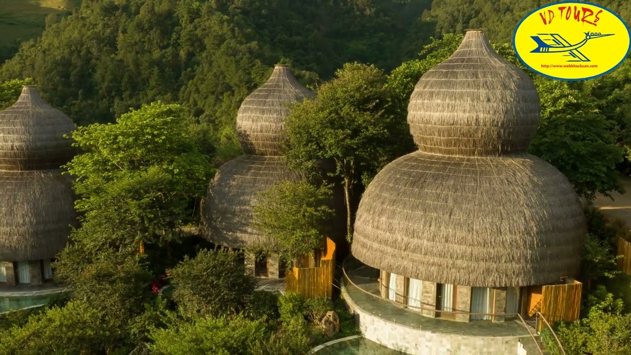 Garrya Mù Cang Chải