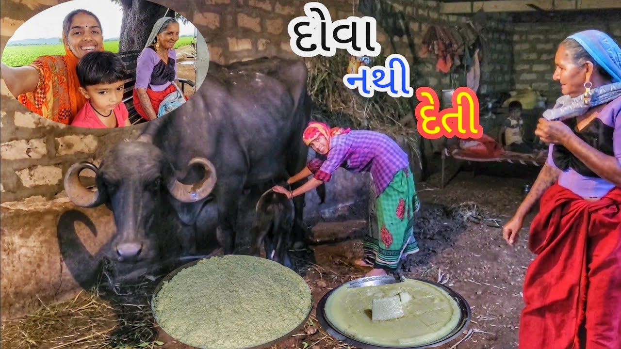 Penda ne Baray Banavi | Fer Bov Chade | Thekda Mare | #village | JSK Life #84 #buffalomilking
