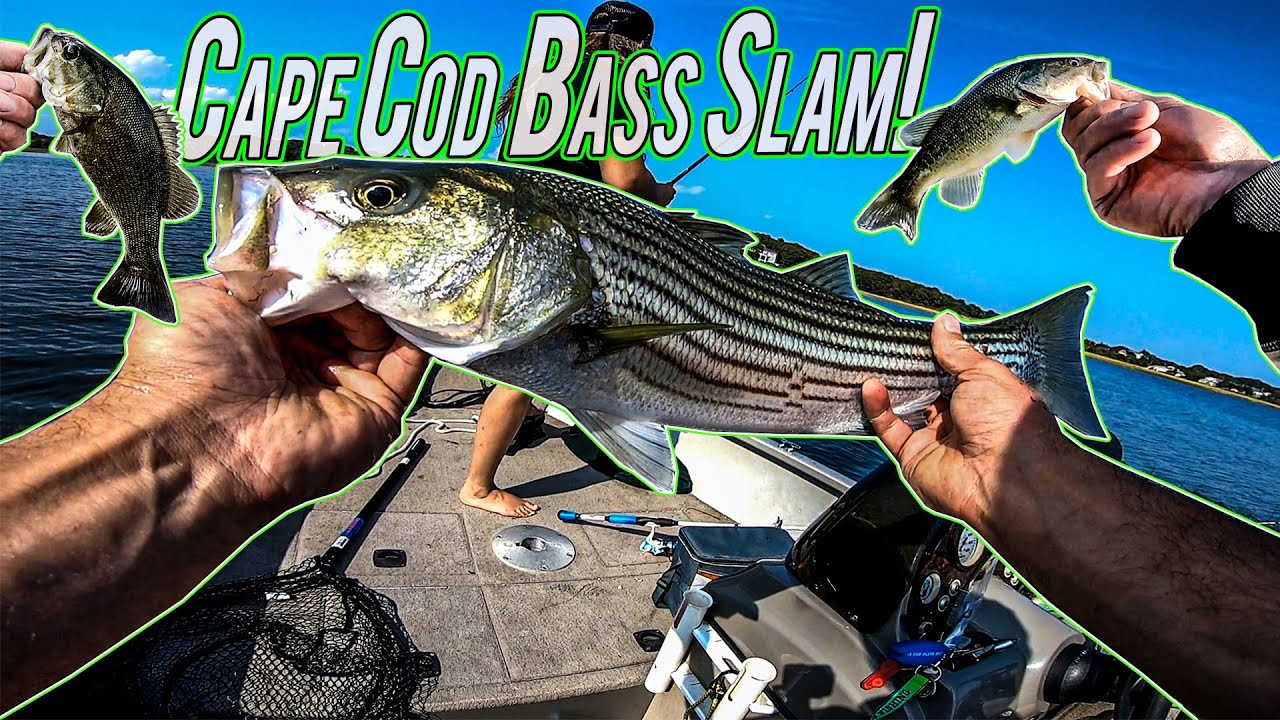 Cape Cod Bass Slam! Largemouth, Smallmouth, and Stripers!