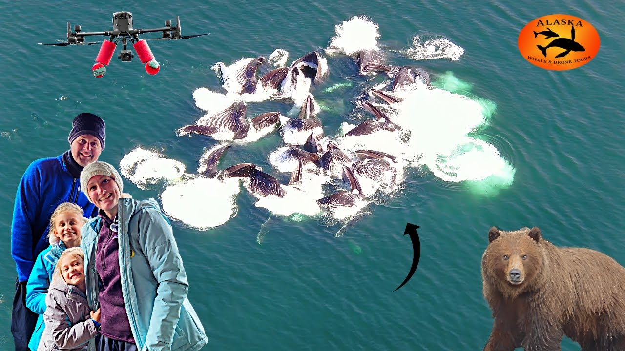 A Day in ICY Straight ALASKA - Whale and Drone Tour