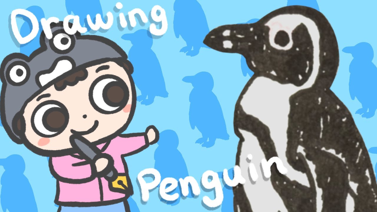 【Penguin】How to draw African penguin | step by step