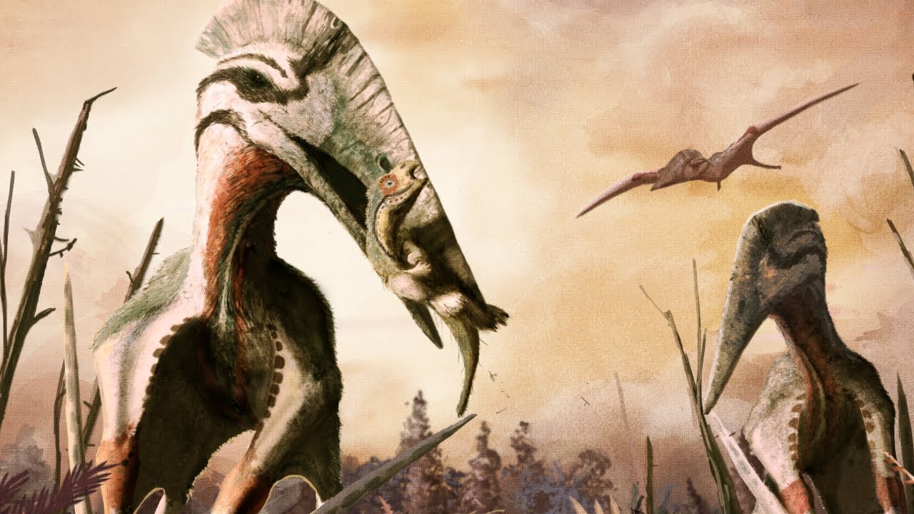 The Fauna of Hateg Island