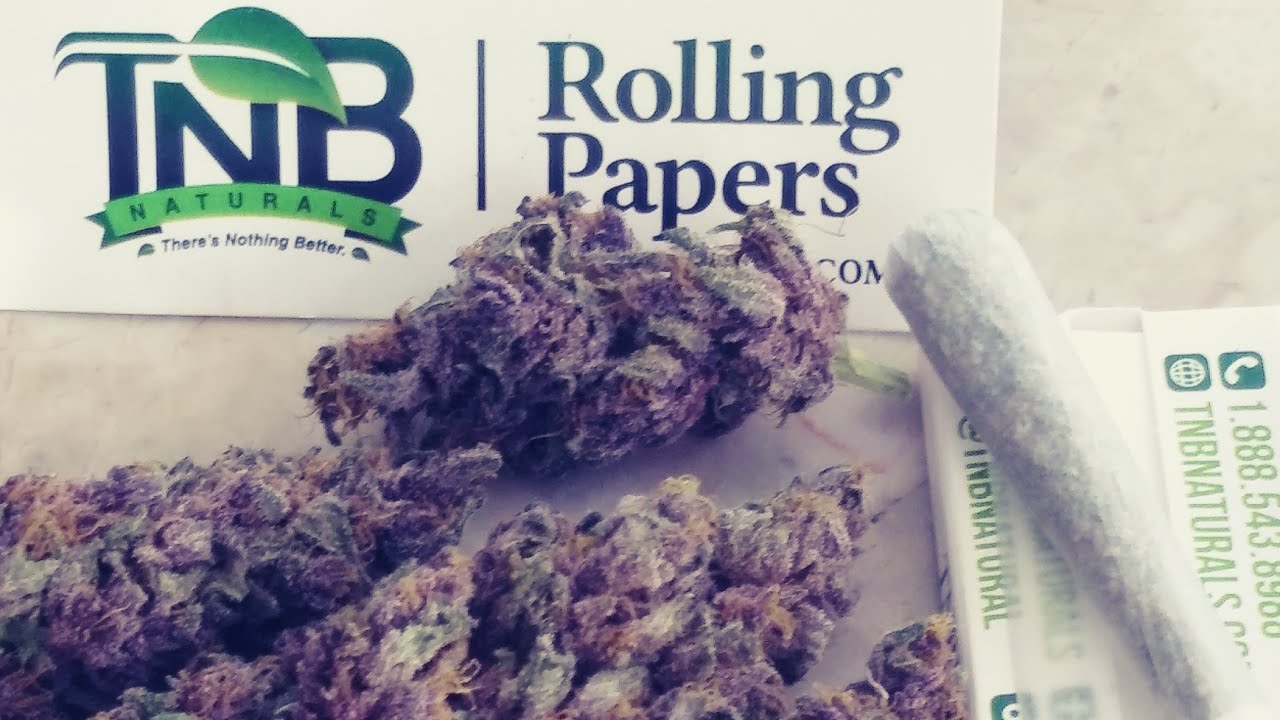 21+only..looking at my Pakistani Chitral kush that has been curing for a week