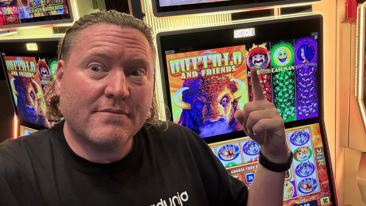 🦬 BUFFALO AND FRIENDS – $500 SESSION AT GUN LAKE CASINO!
