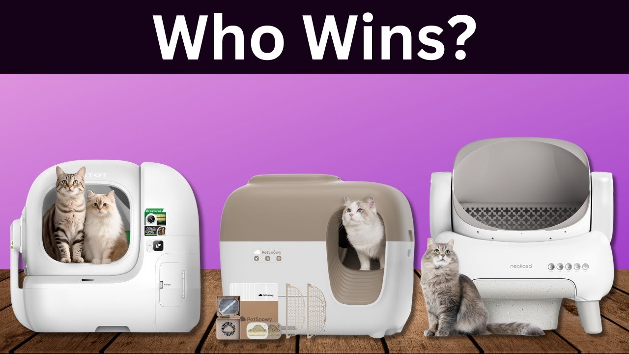 Best Auto Litter Boxes 2026 - Watch This Before You Decide to Buy!