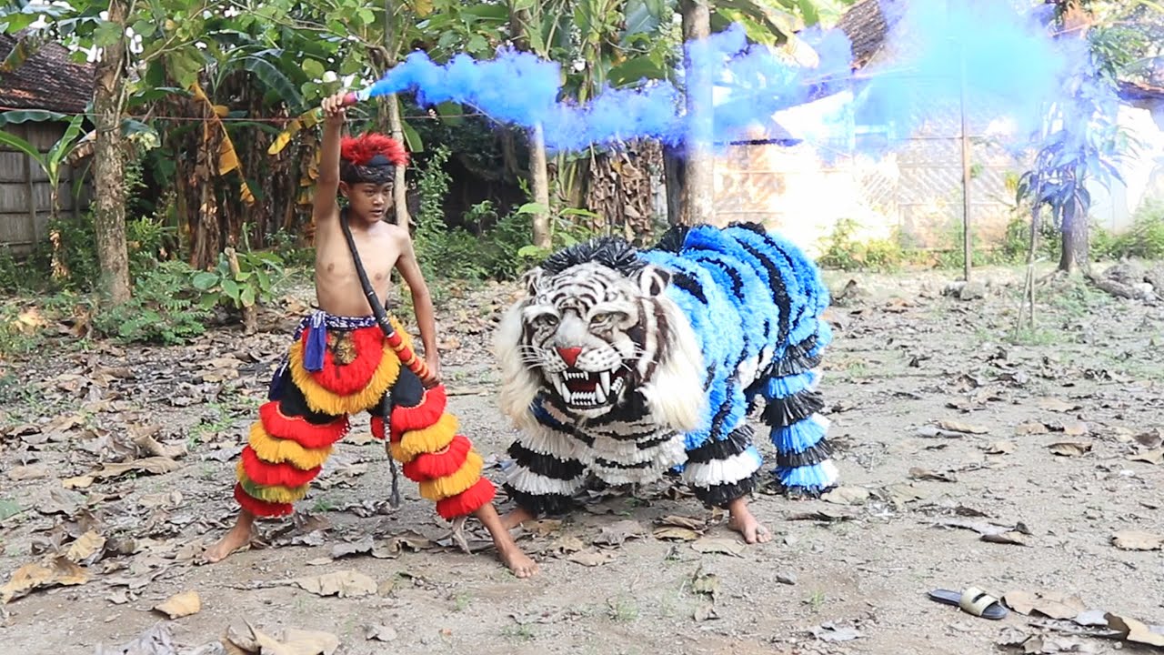 cinematik video | MEMANGGIL BARONGAN CAN MACANAN BONDOWOSO PAKAI MERCON ASAP