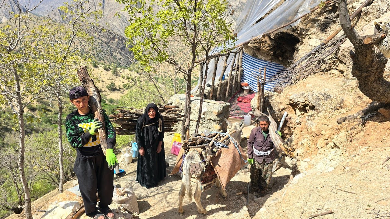 Cave Life in the Zagros Mountains 🏔️ | The Hard Struggle of Nomads to Collect Firewood 🔥