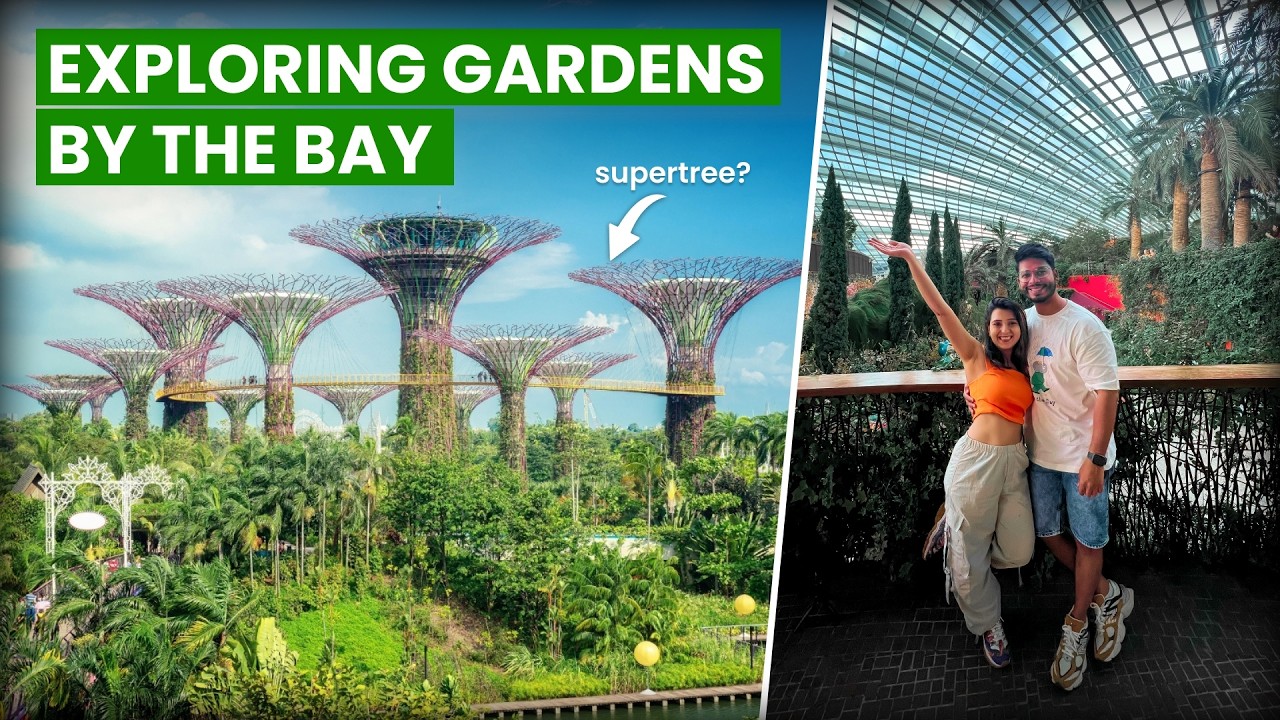 The Best of Gardens by the Bay - Don't Miss This in Singapore | Avatar Experience - Full Details
