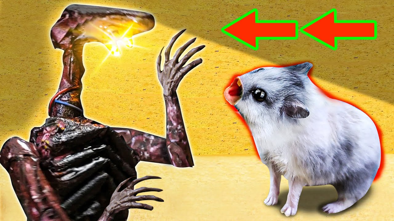 🐹 LIGHT HEAD Hamster Obstacle Course  Maze with Traps 😱 + POLICE ROBOT