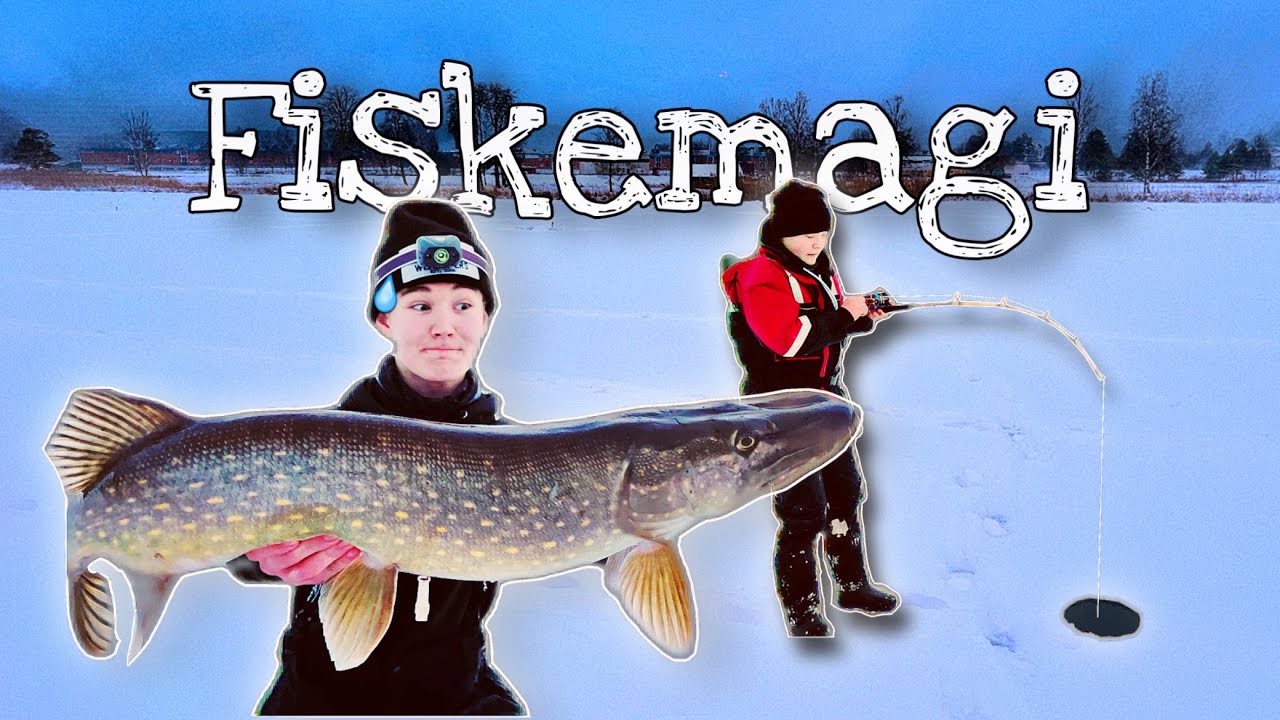 Roligt ismete efter gädda