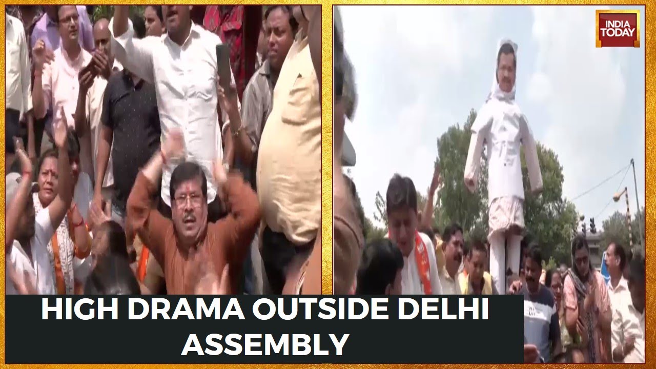 BJP Workers Stage Protest Against AAP, Ruckus In Delhi Assembly For 5th Straight Session