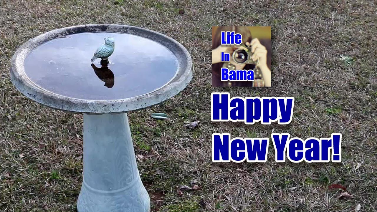 Happy New Year 2020 from Life In Bama