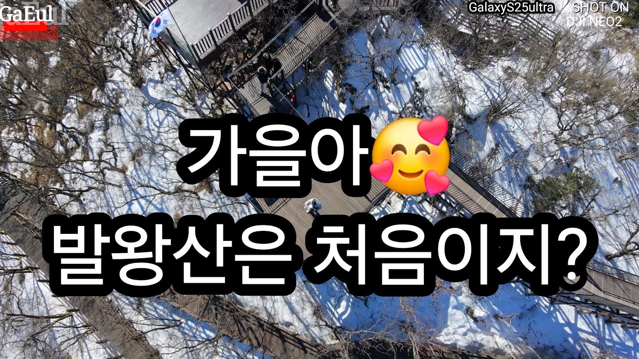 가을이의🐶 첫 발왕산. 첫 곤돌라 탑승.DJI NEO2 Cinematic film 🎥.바람이 불어도 잘 버텼어 NEO2.🚁