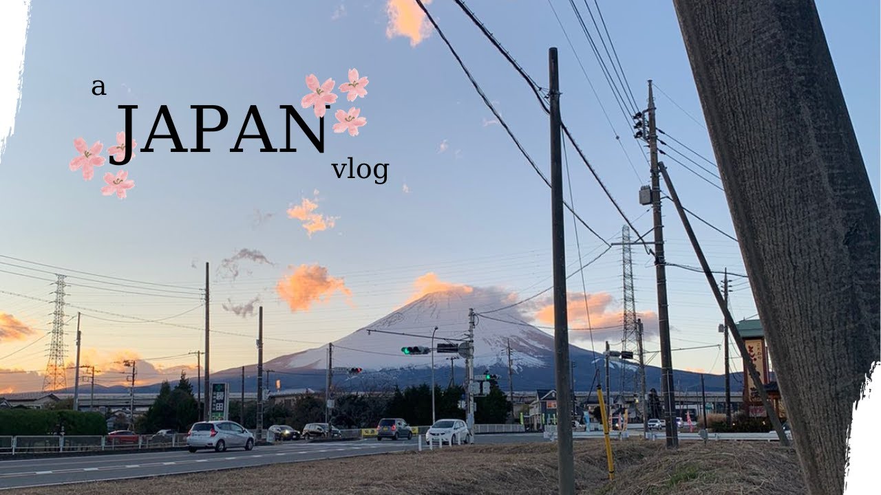 A Japan Vlog: Tokyo and Osaka | 2022