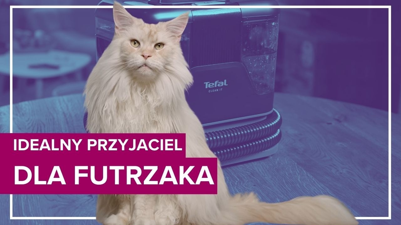Tefal Clean It to najlepszy przyjaciel psiarza i kociary. Co potrafi?