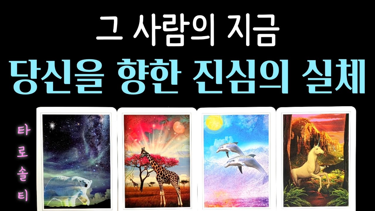 [타로카드/속마음] 그 사람의 지금 ‘당신을 향한 진심의 실체’ (+ 속마음과 감정의 깊이 분석 / 현실 조언)