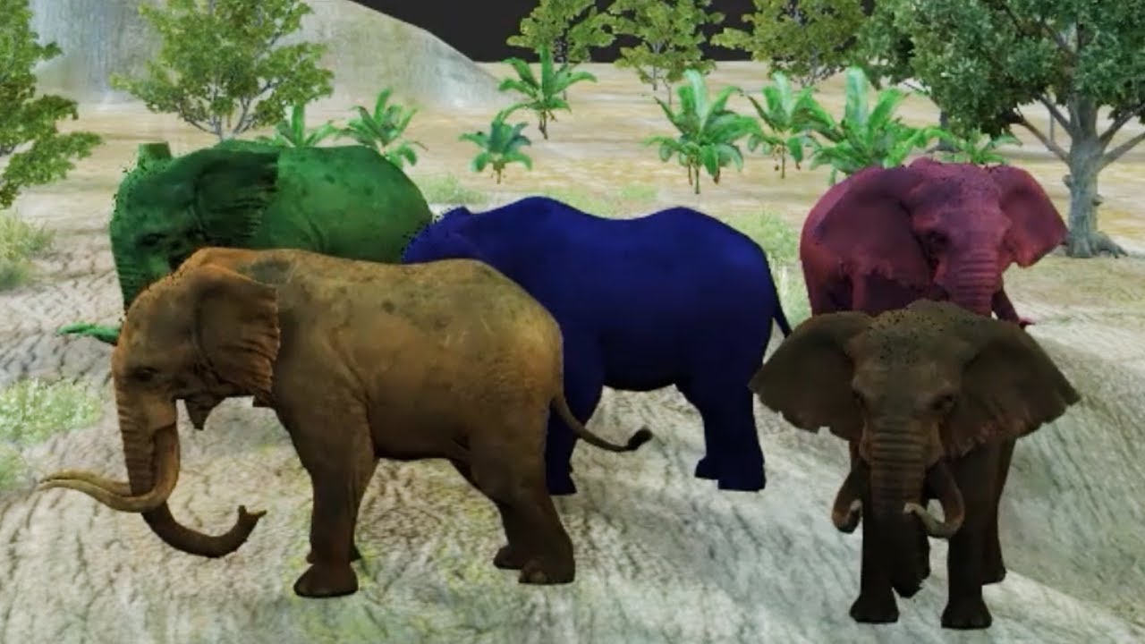 #How to move a five-colored elephant, Animation  3d