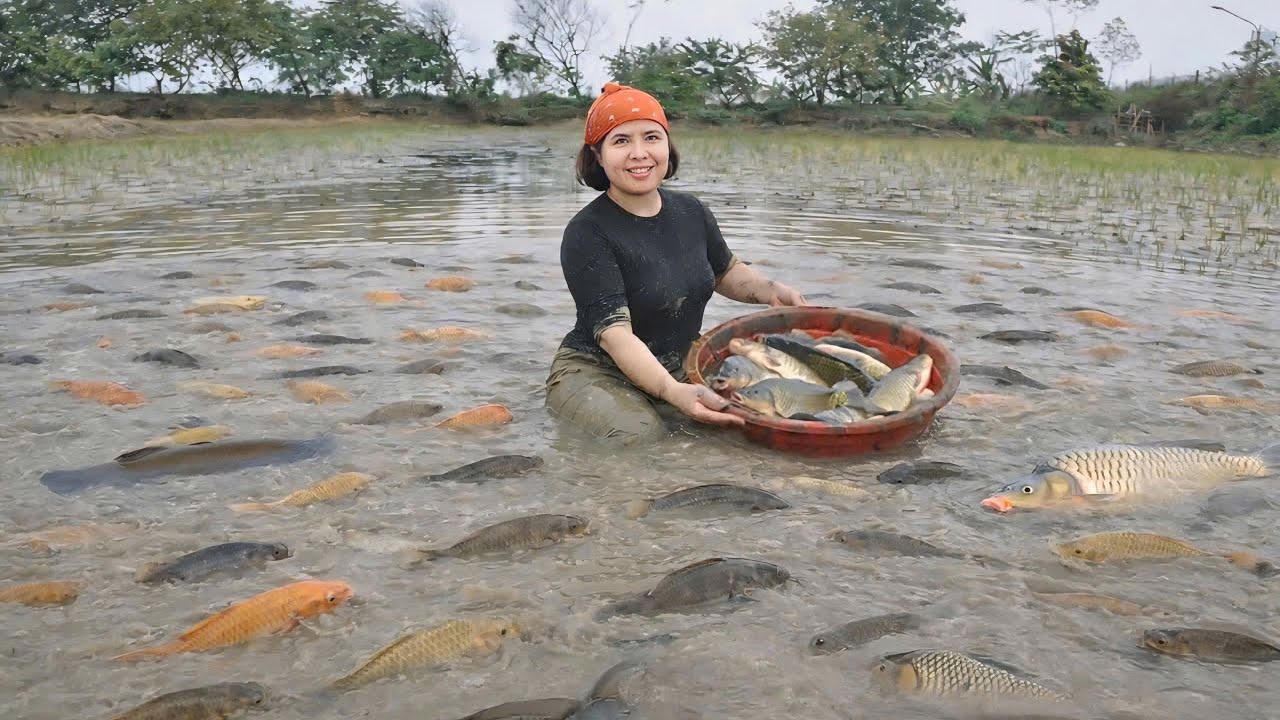 CEO Phuong: A Day Harvesting Fish and Cooking a Warm Winter Meal