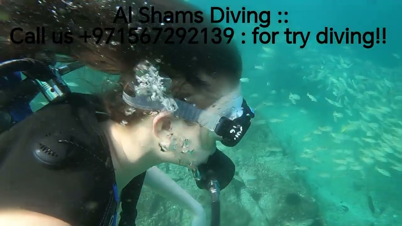 Try diving and explore underwater creatures!! 