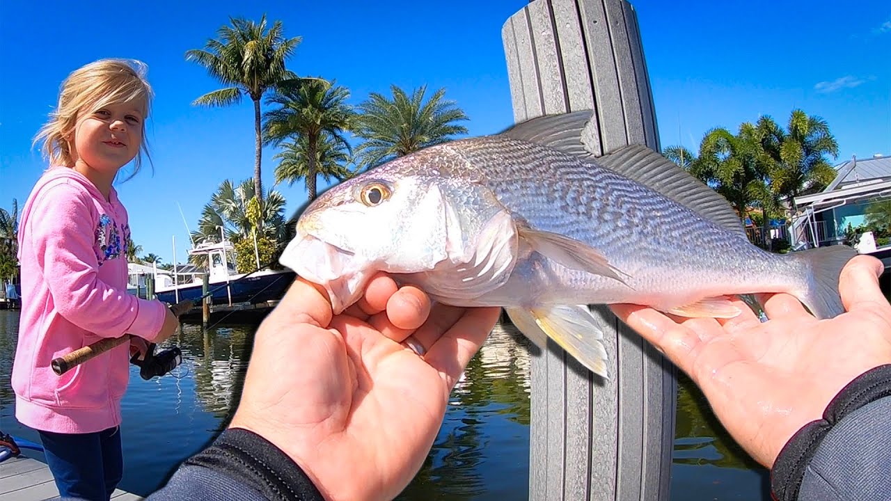 Fishing of a DOCK with my Daughters!!! {Catch Clean Cook} Puffers and Croakers