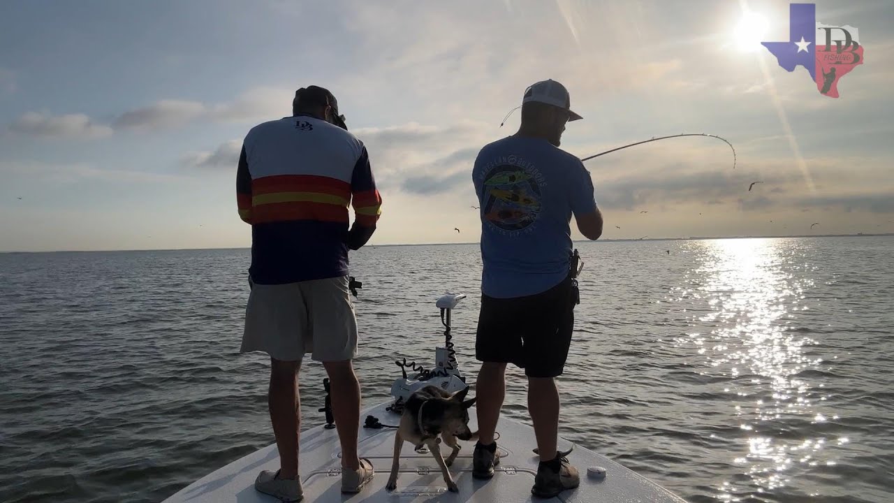 Trout & Birds | Trinity Bay | Late September