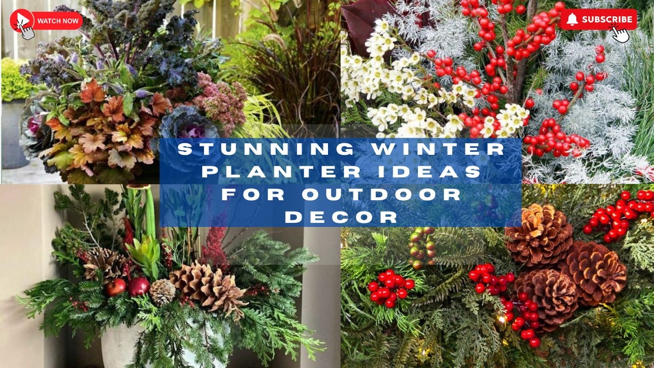 Winter Planter Ideas | Winter Planter Decor Tips for a Cheerful Garden | Winter Planter Inspiration