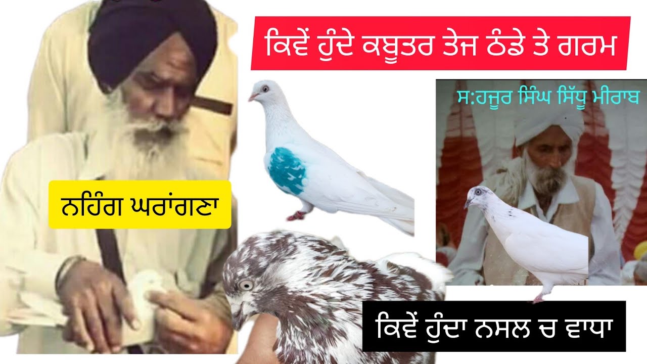 Nihangh Ghrangna Ji de wadde jode