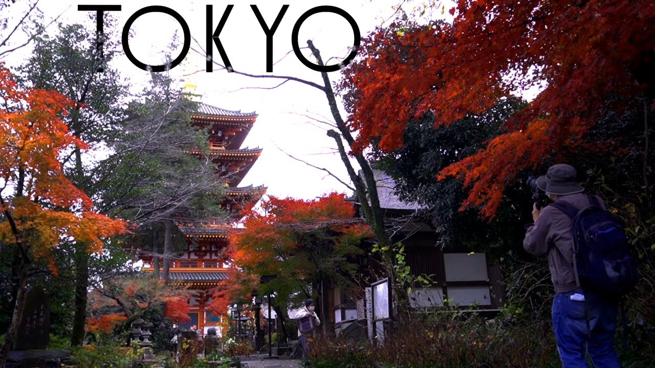 Takahatafudo: Autumn in the TOKYO Outskirts // Exploring Hino, Japan part I