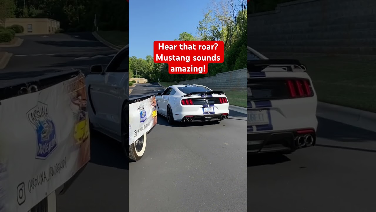 Hear that roar #Mustang #turbo amazing! 🏎️💖 #americanmuscle #americancars  #cars  #sportscars