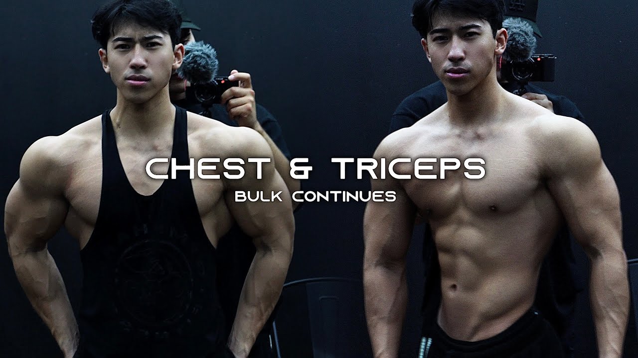 Chest & Triceps | Bulk Continues