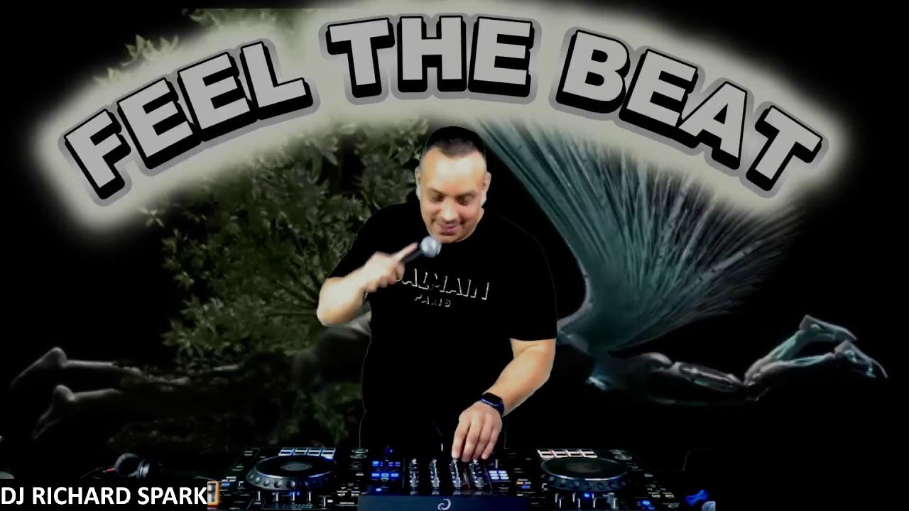 FeelTheBeat /DJ MEZRICZKY /DJ RICHARD SPARK/