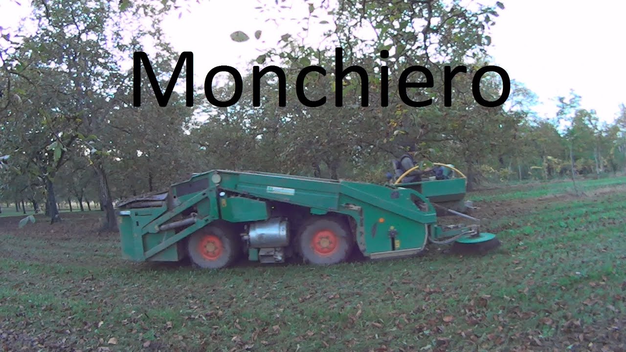 Ramassage de noix mécanisé Monchiero