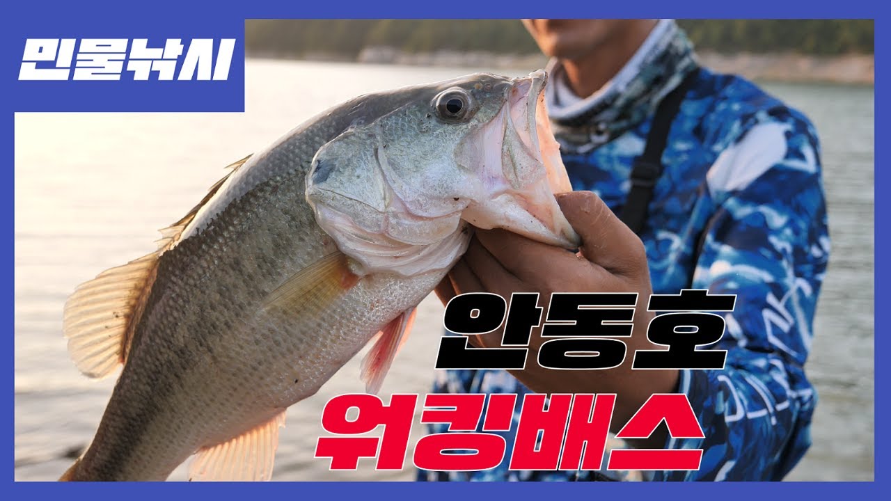 [4K] 원태클로 배스 5마리 잡을 수 있다! 안동호 워킹배스