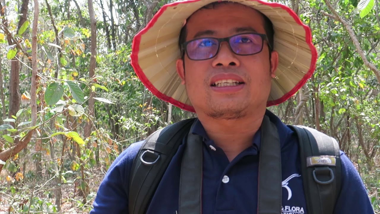 Reducing threats and mitigating human elephant conflict in core habitat, Cambodia