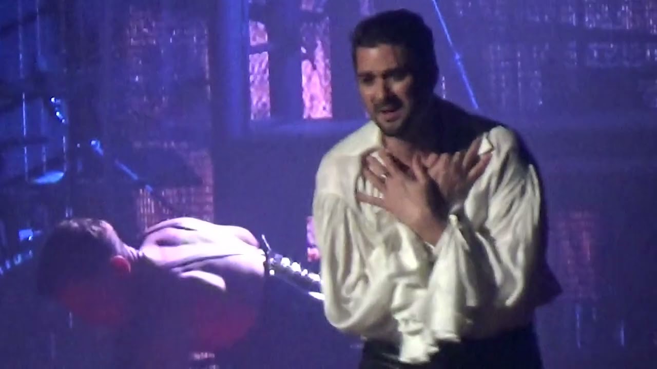 L ASSASSYMPHONIE MOZART L OPERA ROCK