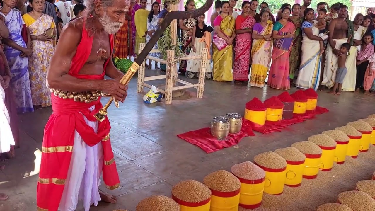 തെച്ചിക്കോട്ടുകാവിലമ്മയുടെ പറയെടുപ്പ്