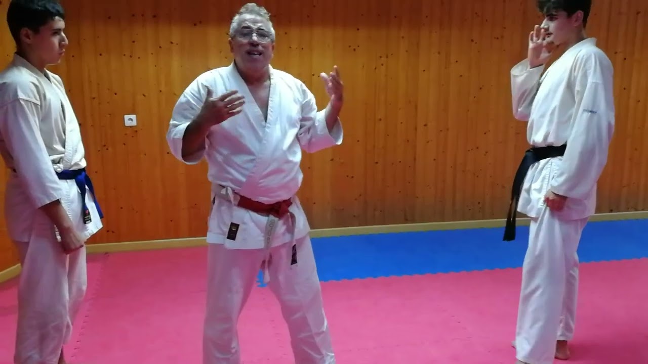 Barridos b&aacute;sicos, aplicados en kumite.