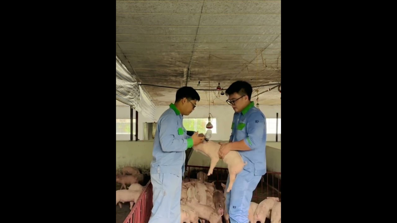 Hỗ trợ khách hàng đồng hành cùng GreenFeed Việt Nam 